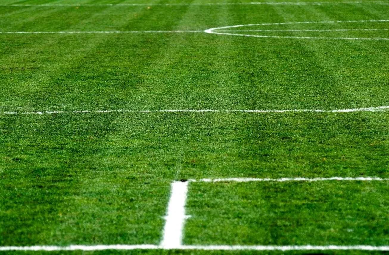 Close-up of a soccer field with white markings