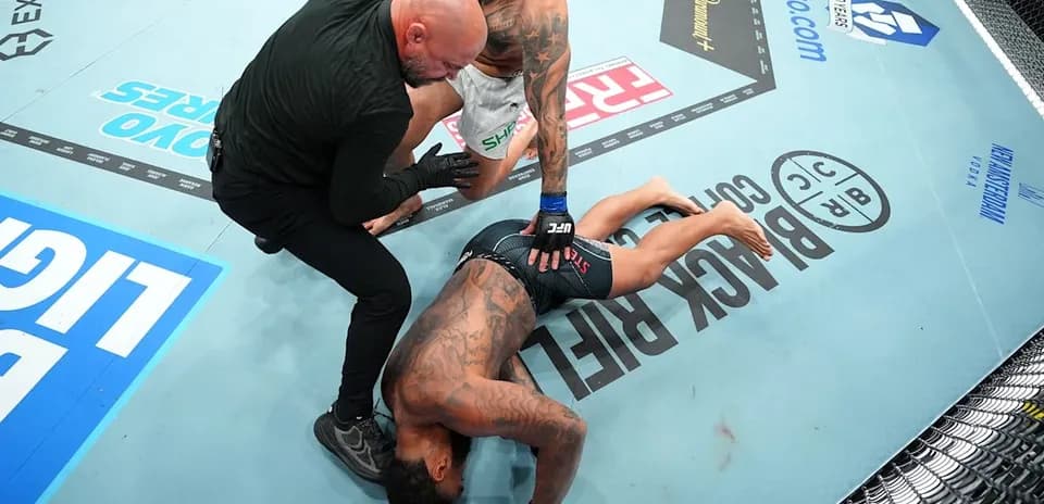 Referee checking on fallen fighter in octagon
