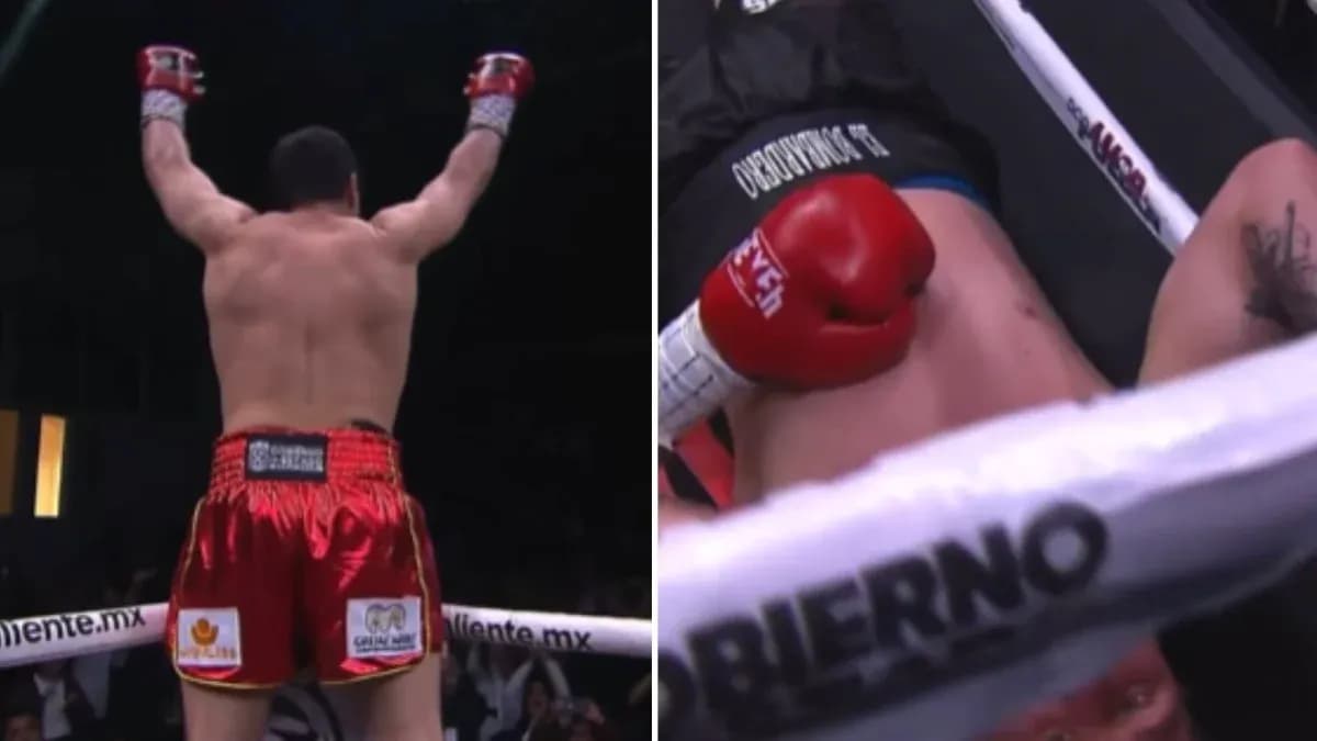 Boxer celebrating victory over opponent on canvas