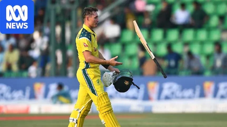 Cricketer walking off field after dismissing bat