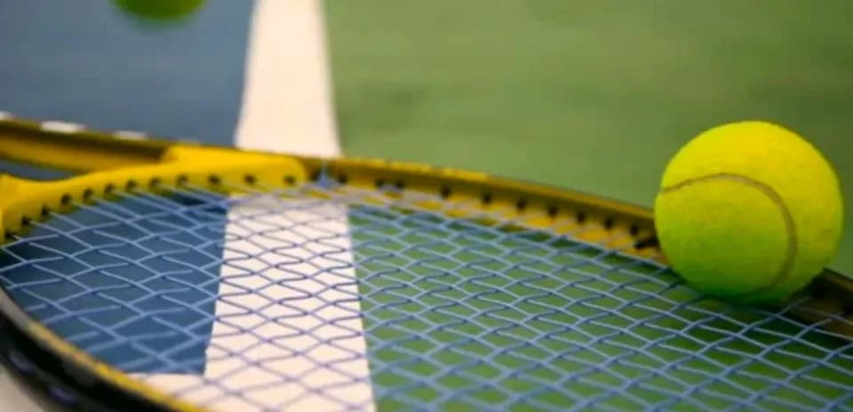 Tennis ball resting on a racquet's strings