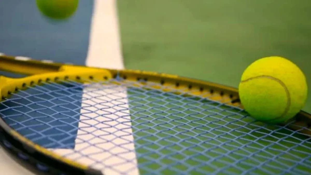 Tennis ball resting on a racquet's strings