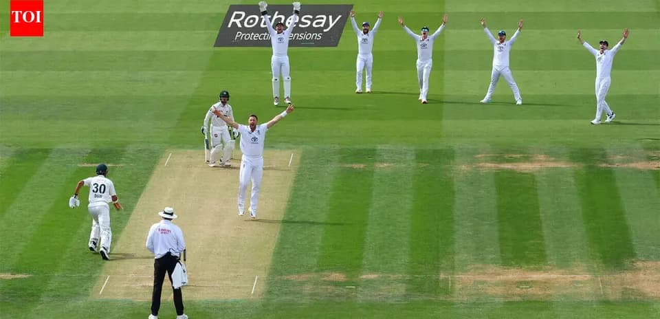 Players celebrating a wicket during cricket match