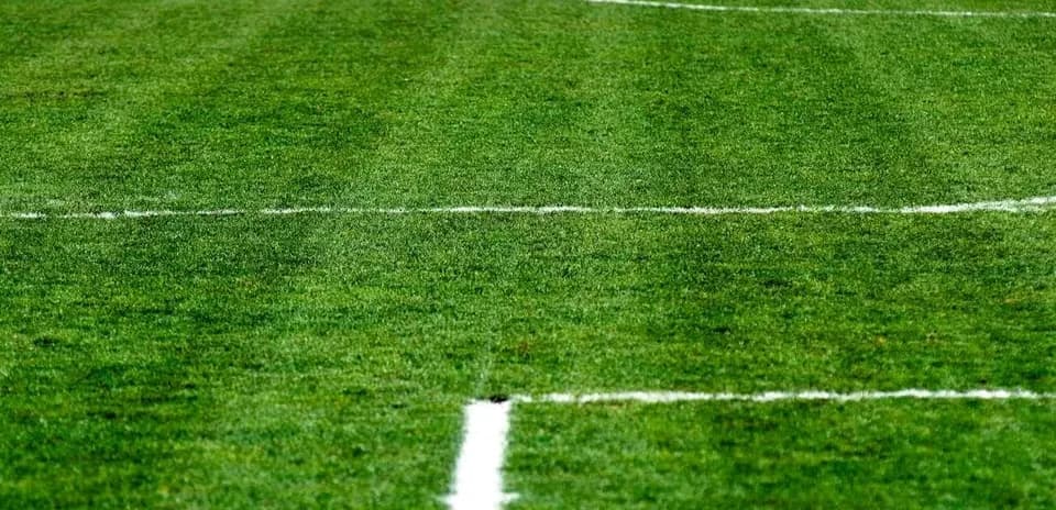 Close-up of a well-maintained soccer field lines