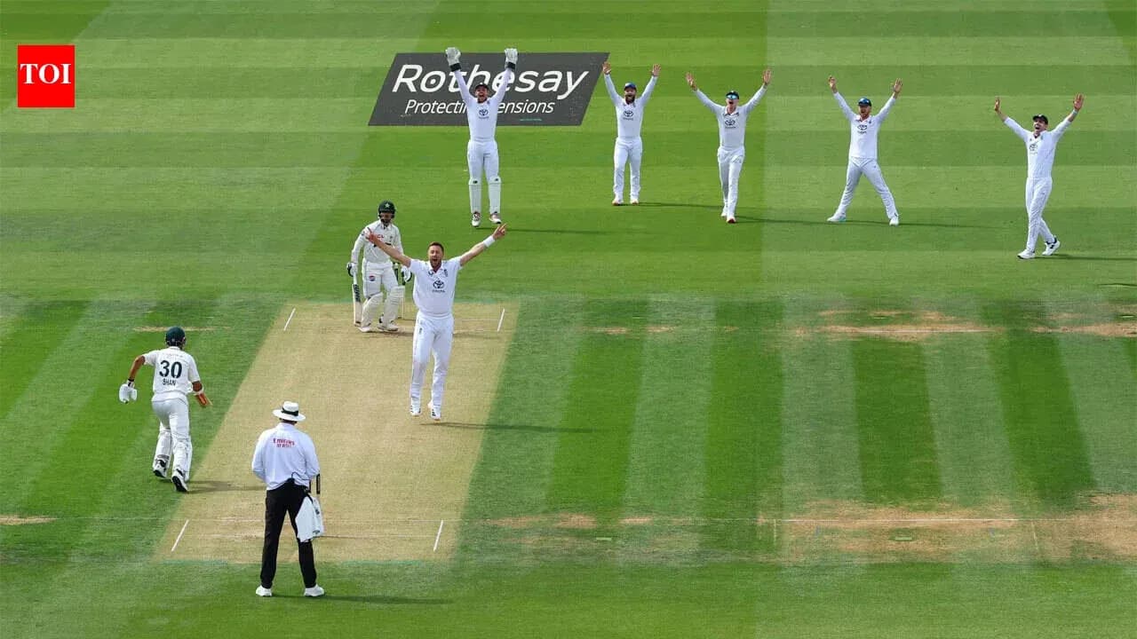 Players celebrating a wicket during cricket match Players celebrating a wicket during cricket match