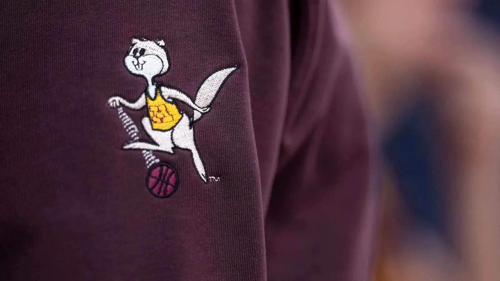 Embroidered mascot logo on sweatshirt Embroidered mascot logo on sweatshirt