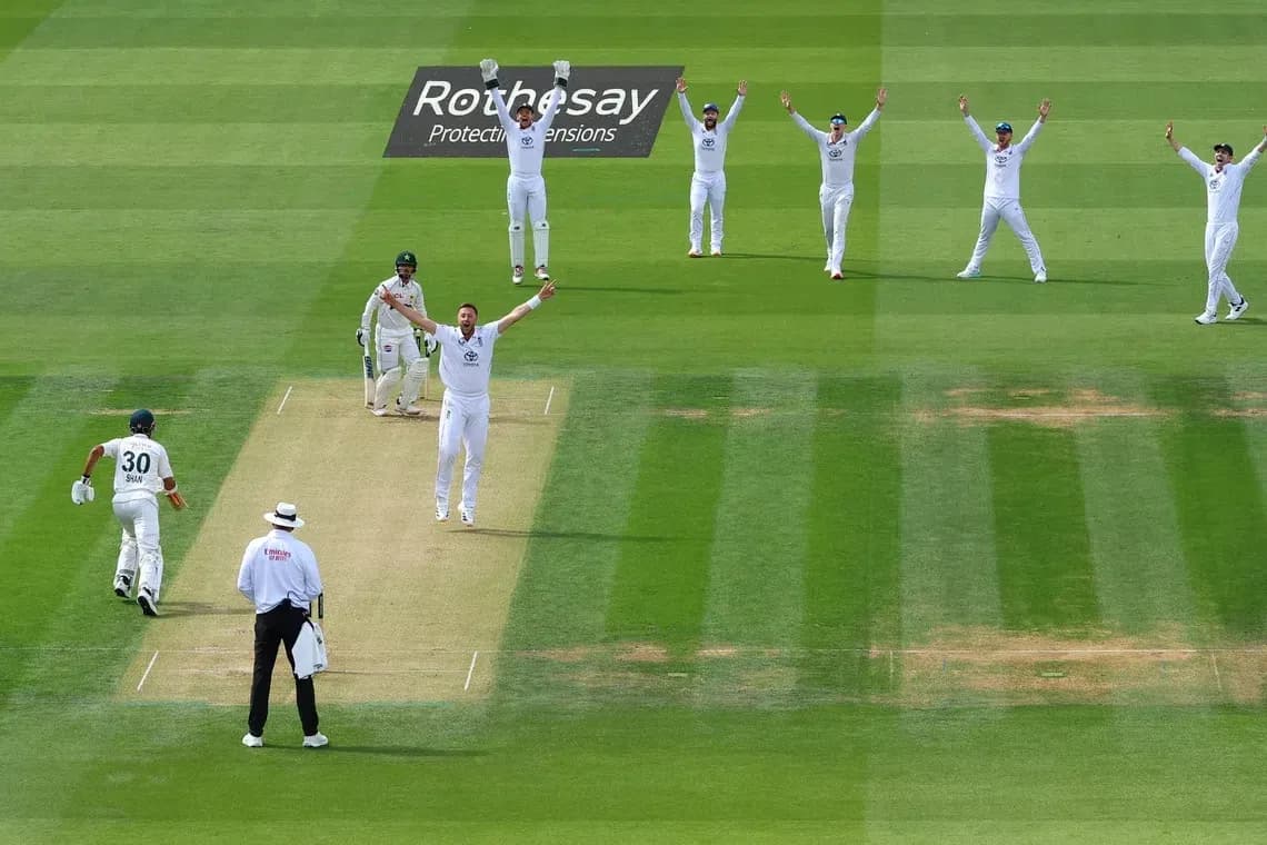 Bowler appealing for a wicket during cricket match Bowler appealing for a wicket during cricket match